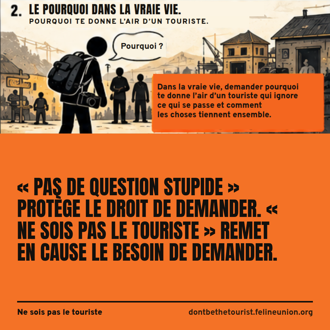 Une touriste demande pourquoi dans une ville au travail.